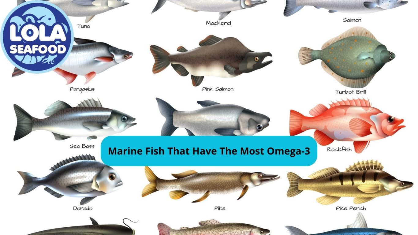 Marine Fish That Have The Most Omega-3